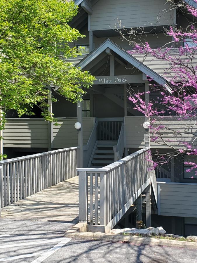 Treehouse Condos - 布蘭森 外观 照片